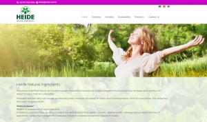 Criação de Sites em Curitiba