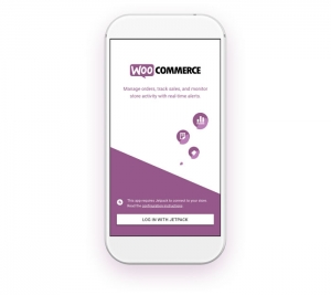 Loja Virtual WooCommerce em Curitiba