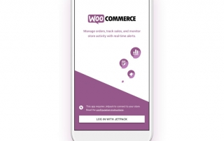 Loja Virtual WooCommerce em Curitiba